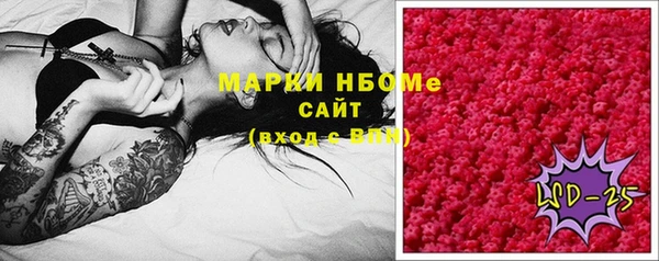 шишки Алексин
