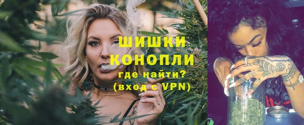 ГАЛЛЮЦИНОГЕННЫЕ ГРИБЫ Арсеньев