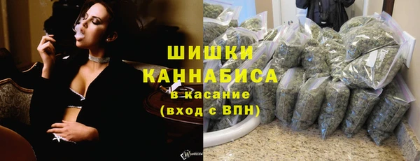 шишки Алексин