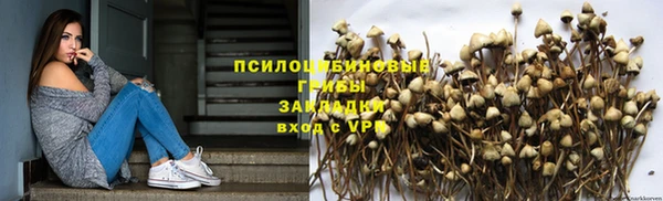 шишки Алексин