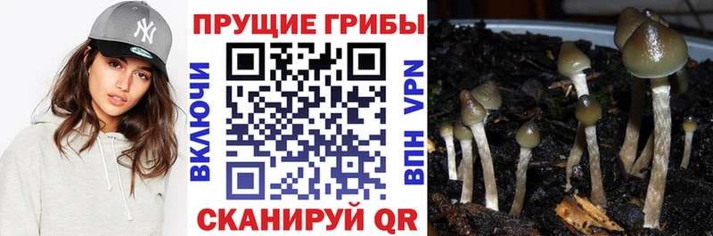 Галлюциногенные грибы мухоморы  Заозёрный 